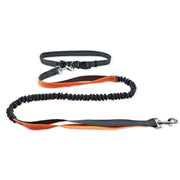 Dog Walking Belt Detachable Section Of Telescopic Shockproof Dual-purpose Traction Rope