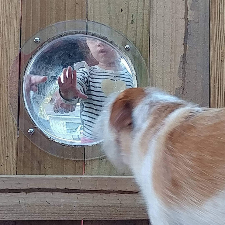 Dedicated Fence Window Transparent