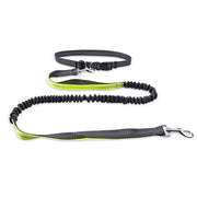 Dog Walking Belt Detachable Section Of Telescopic Shockproof Dual-purpose Traction Rope