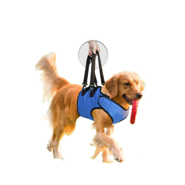 Rehabilitation Training Belt For Middle-aged And Elderly Dogs